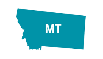 Montana State icon