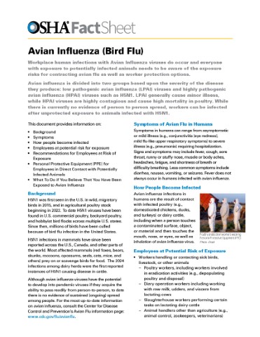 Avian Flu Fact Sheet Poster