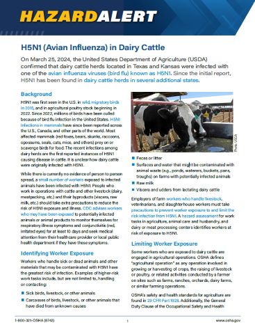 Avian Flu: H5N1 (Avian Influenza) in Dairy Cattle Hazard Alert Poster