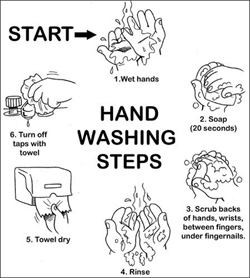 hand washing steps