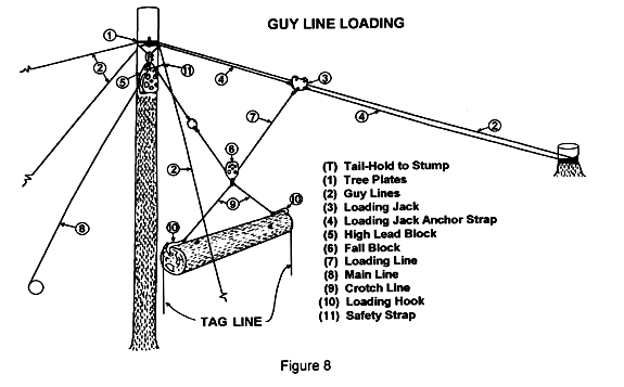 Guy Line Loading