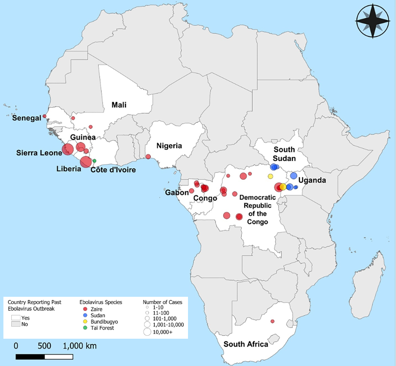 Figure 1. Map of Africa where the ebolavirus is endemic. Colored dots show EVD outbreaks by species and outbreak size that have occurred since 1976.