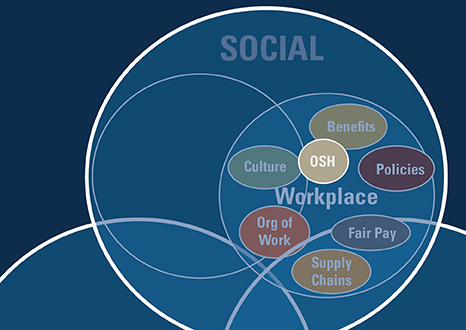 Zoomed-in portion of the Social circle in the Venn Diagram. Showing a circle for Workplace. Workplace includes circles for Culture, OSH, Benefits, Policies, Fair Pay, Supply Chains and Org of Work.