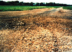 Figure 1. A plugged and abandoned well site. Photo Credit: OSHA (original eTool image)