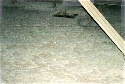 Figure 8-3. Billowed layers of grain dust on south gallery floor