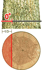 Diagram of Cross-section