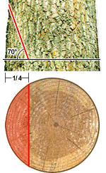 Diagram of Cross-section