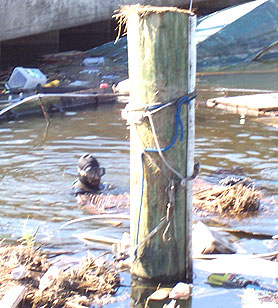 Photo courtesy of OSHA.  This picture shows actual disaster site work conditions and may not illustrate proper safety and health procedures.