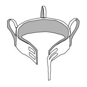 Transfer from Sitting to Standing Position; Ambulation