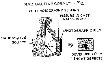 Radioactive Cobalt. If additional assistance is needed with reading, reviewing or accessing these documents or any figures and illustrations, please contact OSHA's Directorate of Technical Support and Emergency Management at (202) 693-2300.