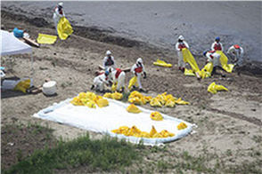 Applying Sorbents to Soak Up Oil (On Shore)