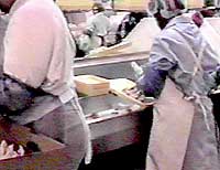 Image of workers packing trays