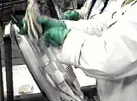 Image of worker bagging product