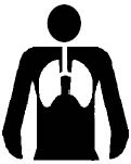 Illustration of Body With Lungs Highlighted