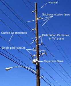 Figure 3. Overhead primary feeder