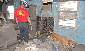 Photo courtesy of FEMA.  This picture shows actual disaster site work conditions and may not illustrate proper safety and health procedures.