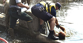 Photo courtesy of FEMA.  This picture shows actual disaster site work conditions and may not illustrate proper safety and health procedures.