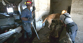 Photo courtesy of FEMA.  This picture shows actual disaster site work conditions and may not illustrate proper safety and health procedures.