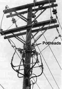 Figure 3. Potheads on pole