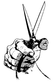 Image of a hand holding conventional scissors