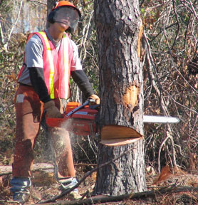 Photo courtesy of the U.S. Army Corp of Engineers.  This picture shows actual disaster site work conditions and may not illustrate proper safety and health procedures.