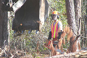 Photo courtesy of the National Institute for Environmental Health Sciences.  This picture shows actual disaster site work conditions and may not illustrate proper safety and health procedures.