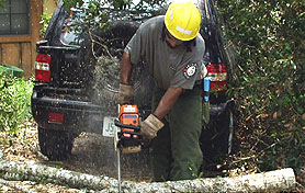 Photo courtesy of FEMA. This picture shows actual disaster site work conditions and may not illustrate proper safety and health procedures.