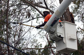 Photo courtesy of FEMA.  This picture shows actual disaster site work conditions and may not illustrate proper safety and health procedures.