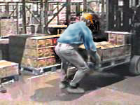 Figure 2: Use of a forklift raises the height of the boxes.