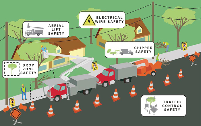 Solutions for Tree Care Hazards: Drop Zone Safety, Aerial Lift Safety, Electrical Wire Safety, Chipper Safety, Traffic Control Safety