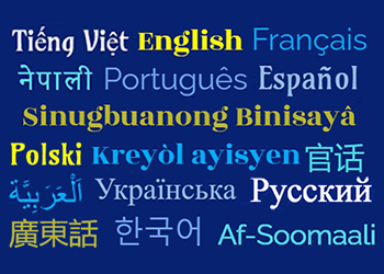 Word cloud of the languages the website can be translated into