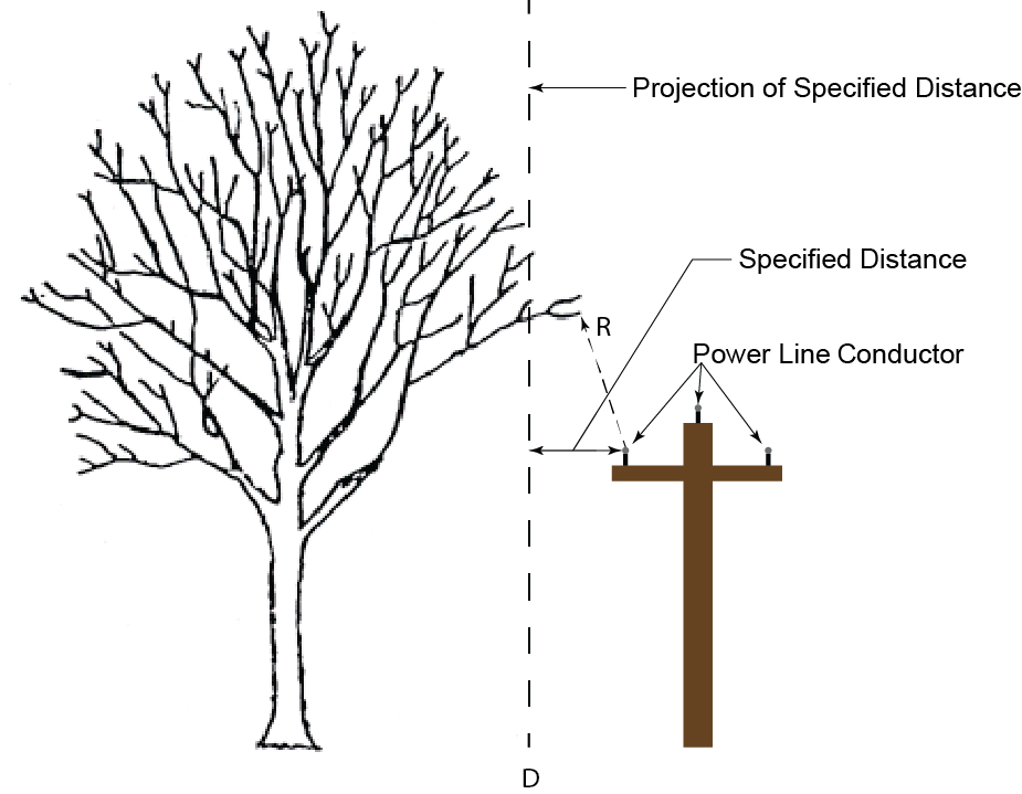 The tree is within the specified distance if any part of the tree is on the side of that vertical projection closest to the line or equipment (D) without regard to the radial distance from the line or equipment (R). (See 29 CFR 1910.269(a)(1)(i)(E) for information about the applicability of 1910.269 to line-clearance tree trimming.