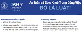 Download Vietnamese PDF